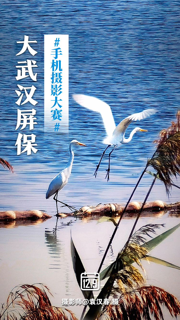 正在上传...