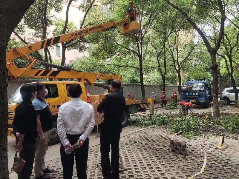 不忘初心回选区,履职尽责为人民