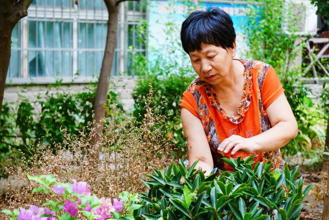 1.jpg 图片