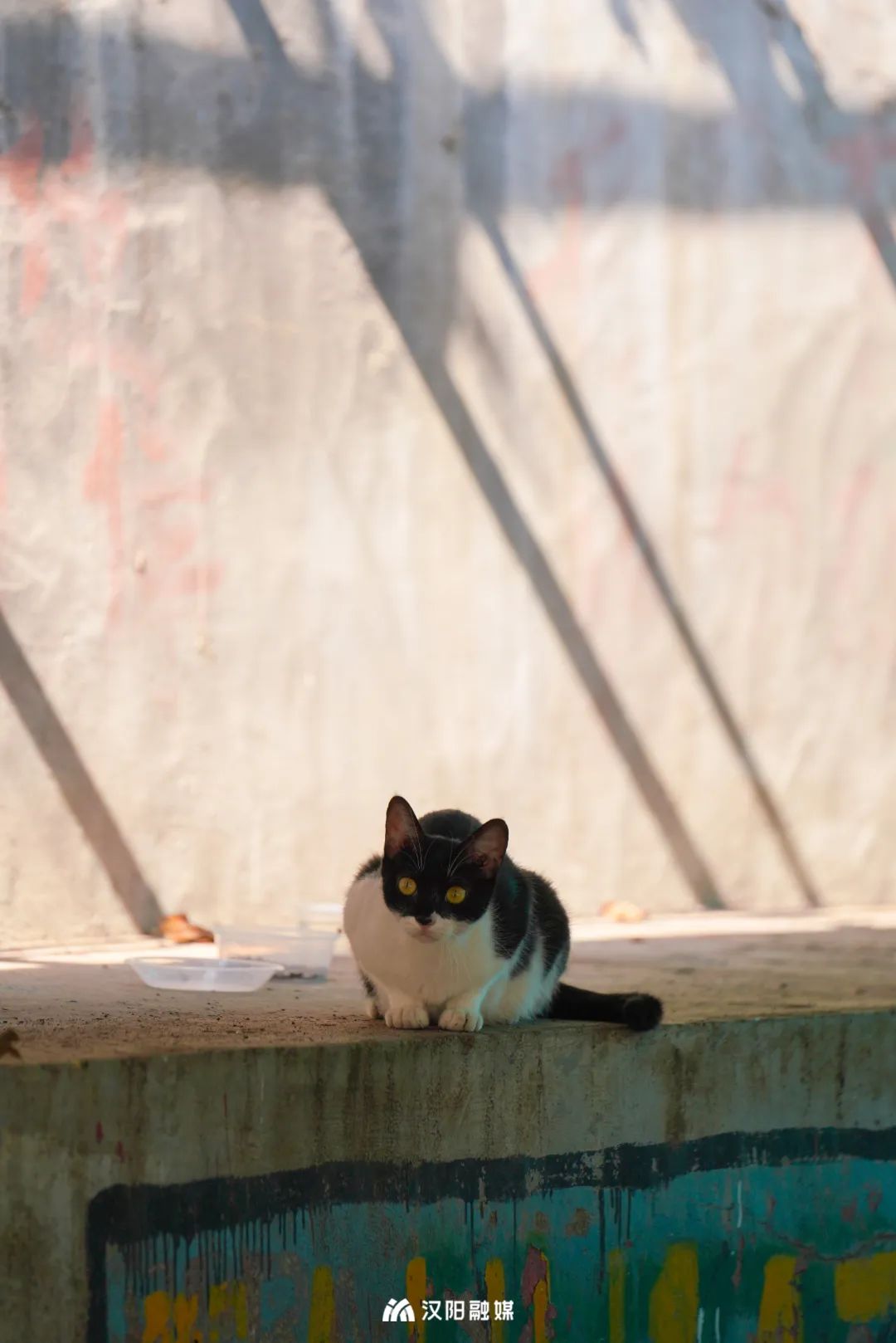 拼一起 (2).jpg 图片