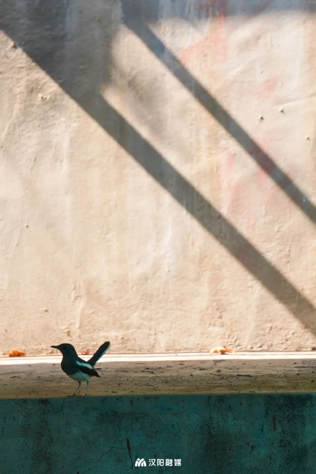 拼一起 (1).jpg 图片