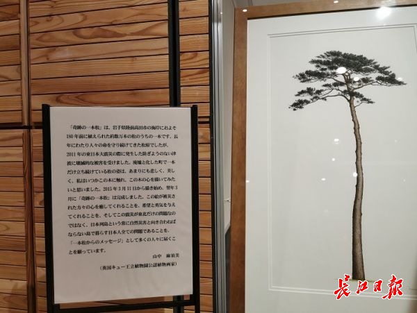 长江日报-长江网11月30日讯(特派记者 柯立)岩手县是"3·11"地震受灾