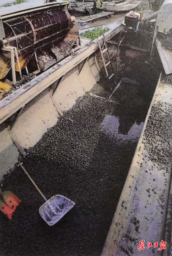 这样捕捞要不得不法商贩用吸螺机一天吸螺9吨