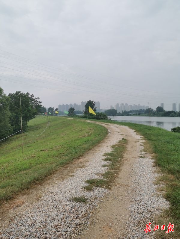 谌家矶西堤加宽加高加固堤坝承受水位可达30米