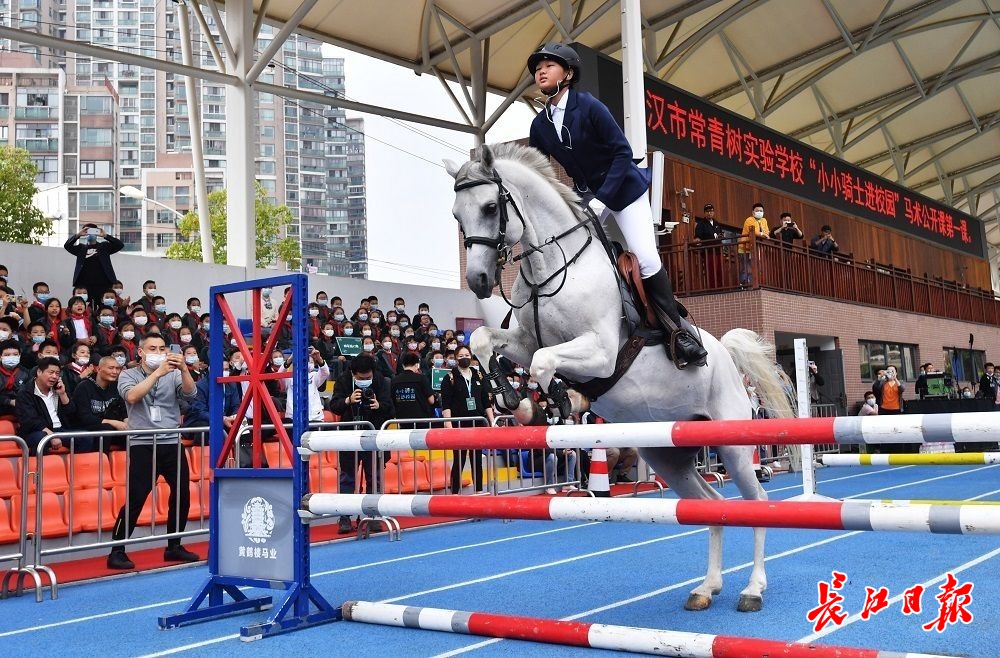 摄9月23日下午,"小小骑士进校园"马术公开课试点在常青树实验学校正式