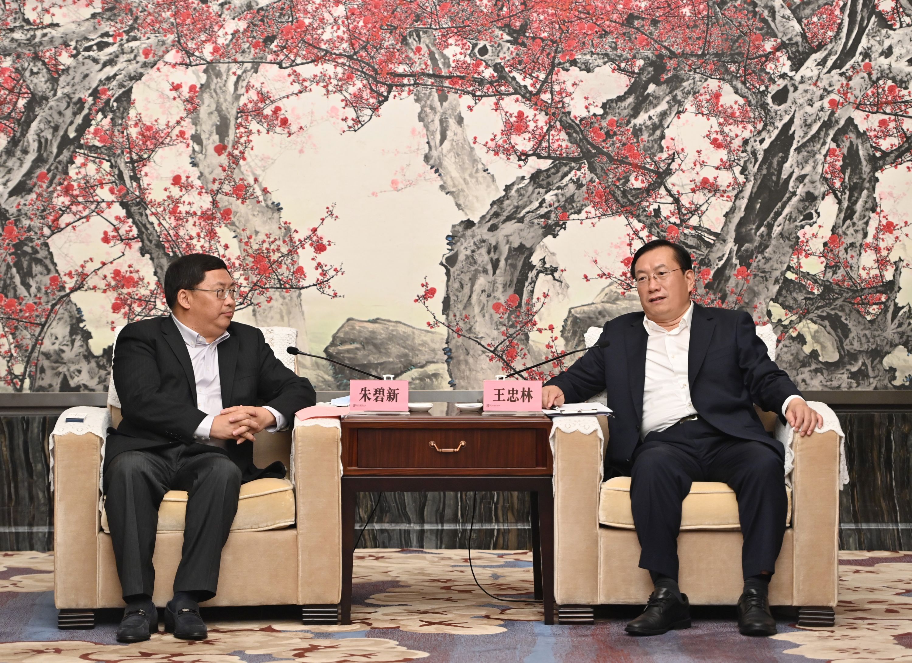王忠林与中国诚通集团董事长朱碧新座谈