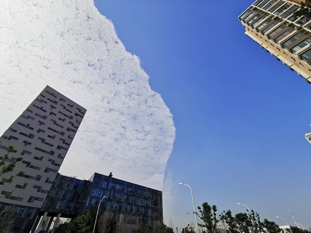 武汉上空出现蓝天白云一线隔景观