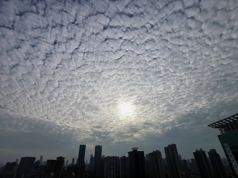 武汉上空出现蓝天白云一线隔景观