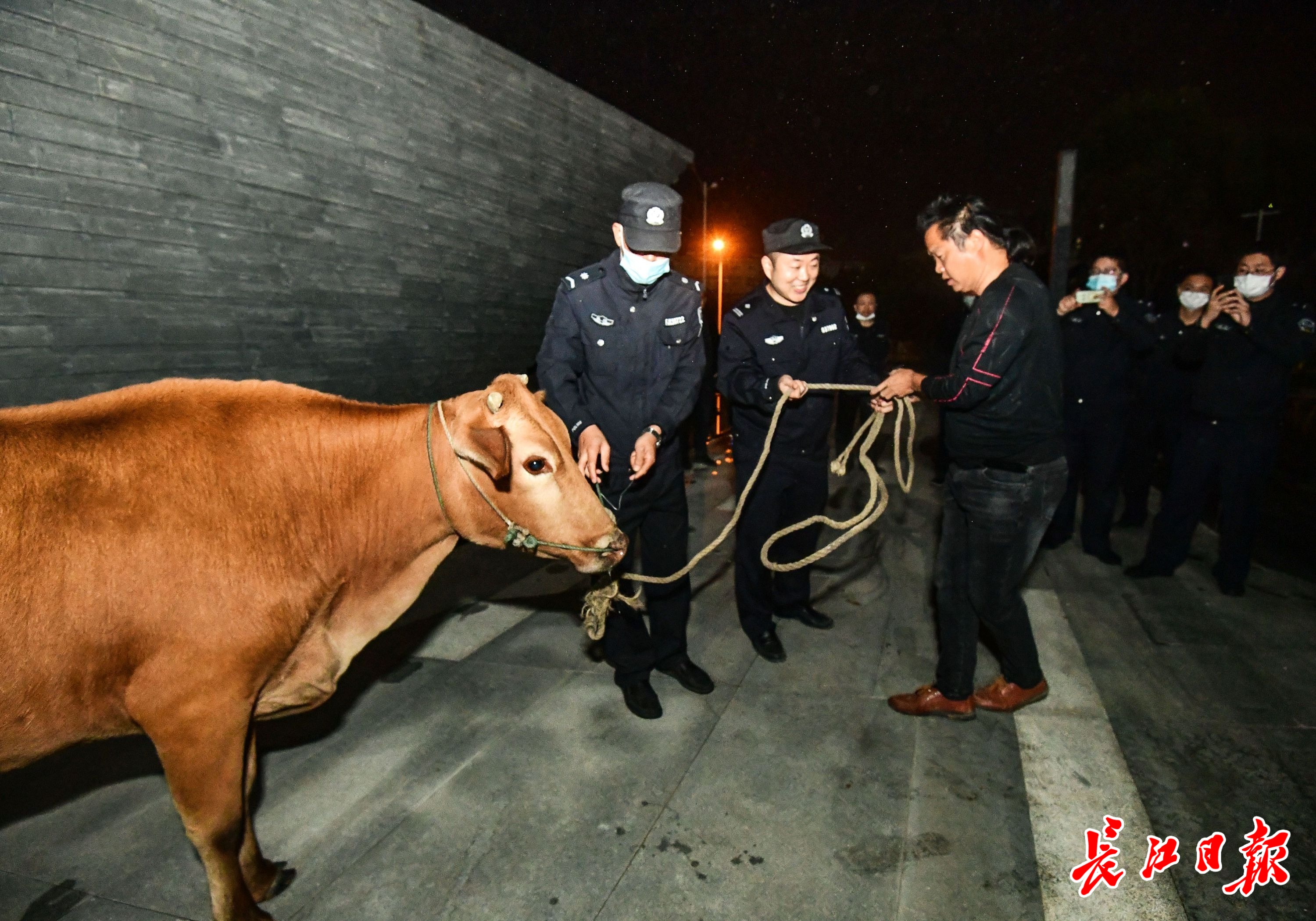 包含广安门中医医院、大兴区黄牛号贩子挂号，你不知道找谁请联系我的词条