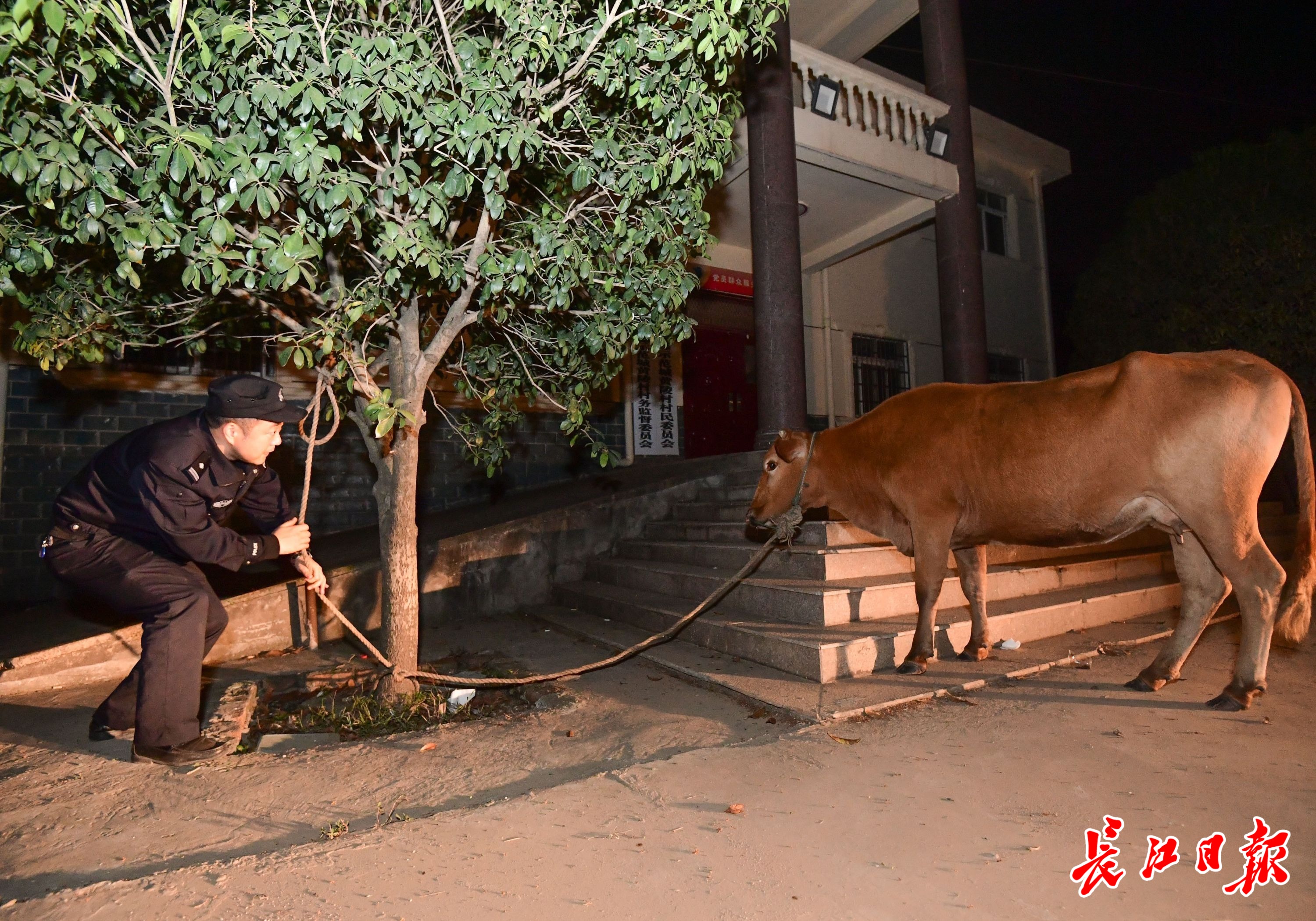 广安门中医院"找黄牛真的那么厉害吗"的简单介绍