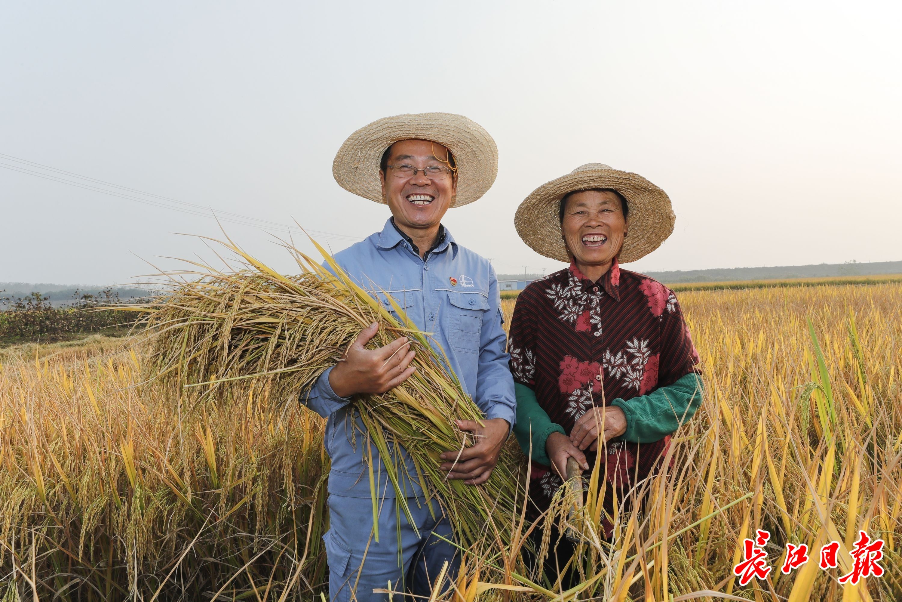企业助贫精米加工助农脱困增收图集