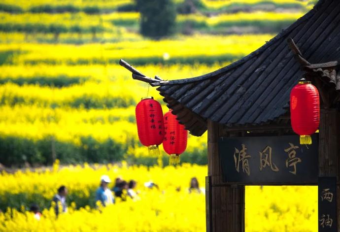 艾都光影丨主题摄影:汤冲油菜花