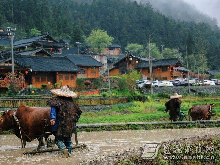 恩施市旧铺村闹春耕