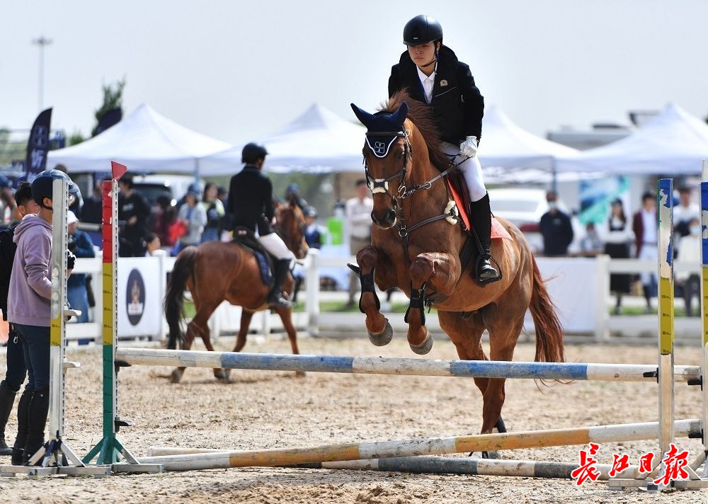 湖北省马术场地障碍联赛首站揭幕行摄武汉
