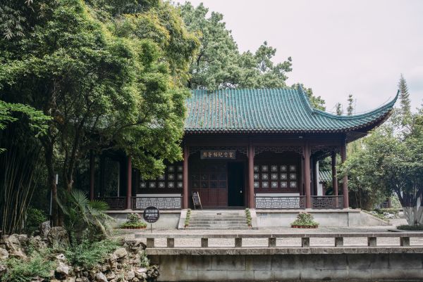 千万网友聆听东湖往事苍柏园内游客量连翻5倍