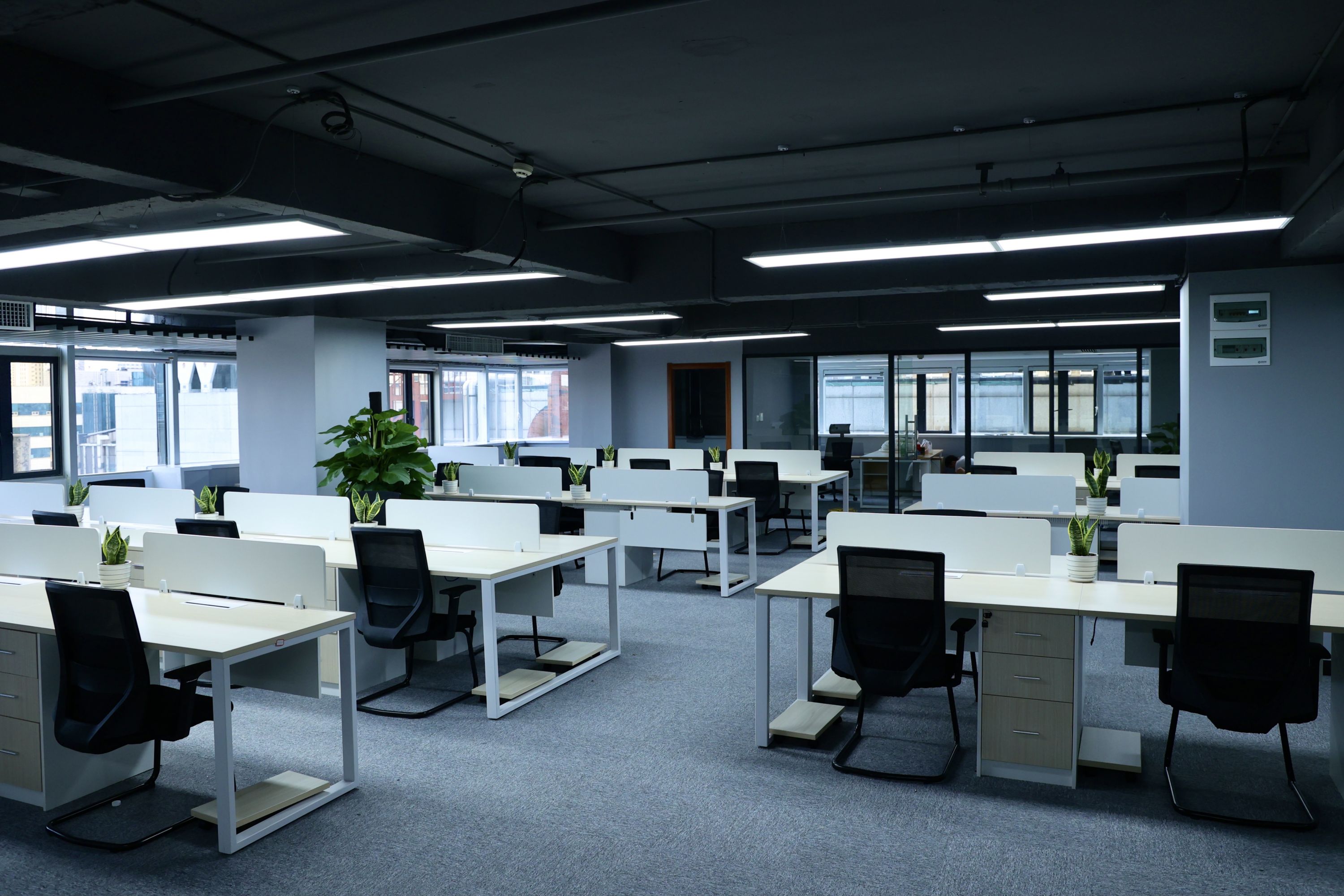 高科孵化器开园打造光谷科创大走廊科创明珠