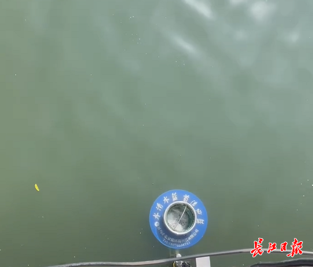 模拟人自动肺怎么换明渠装上人工“肺”，可24小时作业自动收集细小漂浮物_https://www.jmylbn.com_新闻资讯_第1张