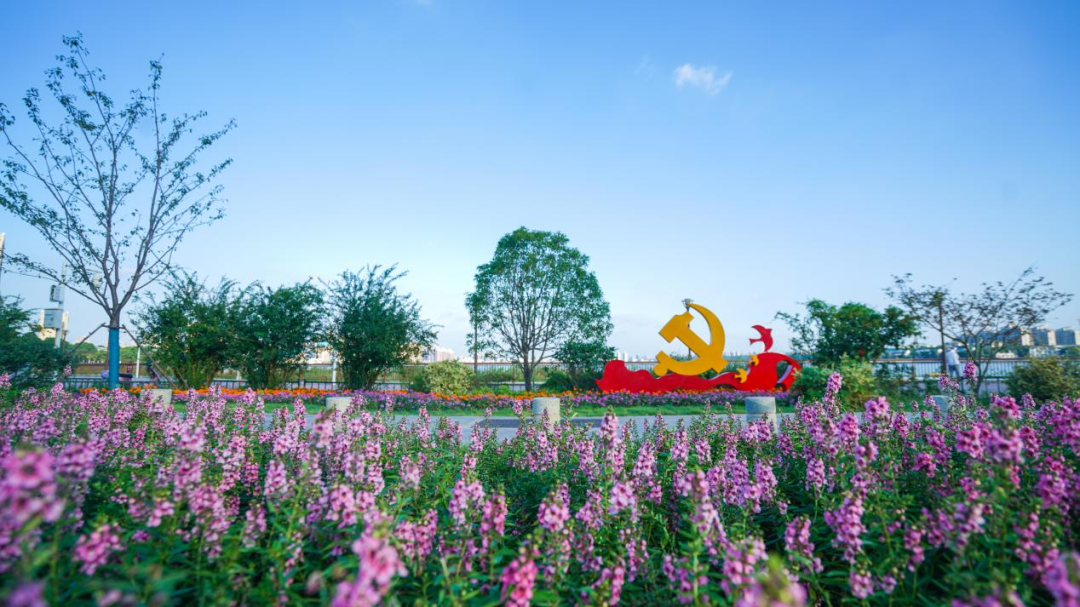 山东省花卉批发市场有几个